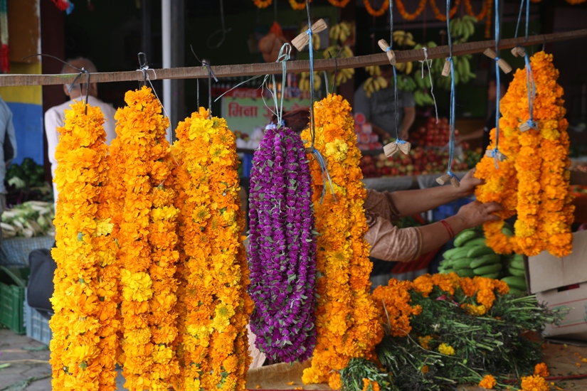 भारतीय फूलले बजार कब्जा, नेपाली व्यवसायी मारमा